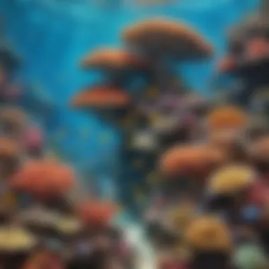 An intricate coral reef teeming with diverse marine life