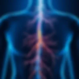 Illustration of nerve pathways illustrating sensitivity
