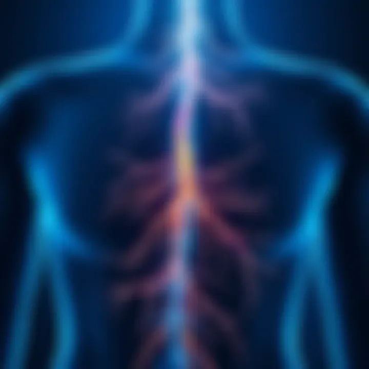 Nerve Pathways and Skin Sensitivity Illustration of nerve pathways illustrating sensitivity