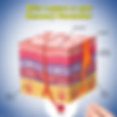 Skin Layers and Sensory Receptors Graphic representation of skin layers and receptors
