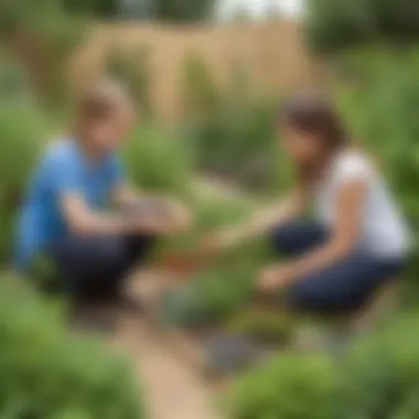 Young learners participating in a sensory garden experience, interacting with plants and scents.