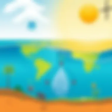 Environmental impact of solar desalination