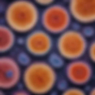 Close-up of stained bacterial cells under a microscope