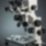 High-quality stereo microscope showcasing intricate details of specimens