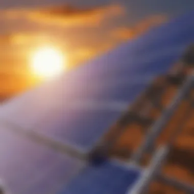 Solar panels harnessing sunlight for energy