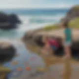 Preschoolers exploring a tide pool