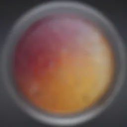 Petri dish with nutrient agar