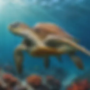 Majestic Sea Turtle in Ocean