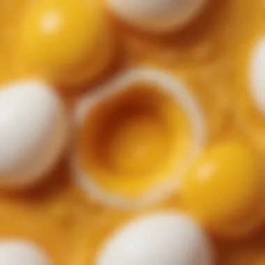 Intricate details of the inner workings of egg yolk slime-filled eggs