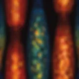 Intricate Glasswork of Lava Lamp