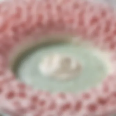 Fermentation Process of Yogurt Bacteria Fermentation Process of Yogurt Bacteria