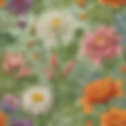 Floral Botany Exploration