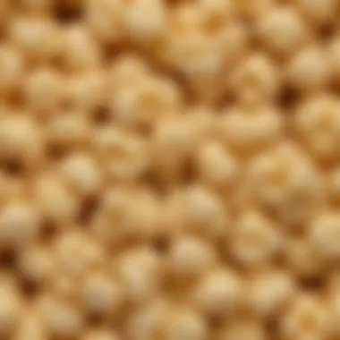 Fluffy Kernel Under Microscope