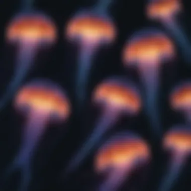 Glowing Bioluminescent Jellyfish Swarm