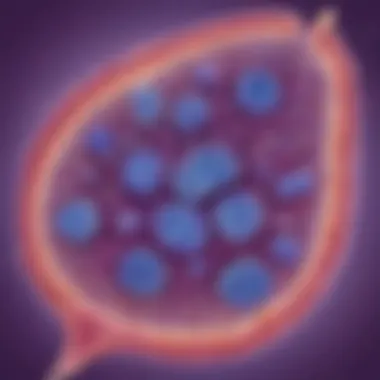 Illustration of Gram staining process on bacterial cell