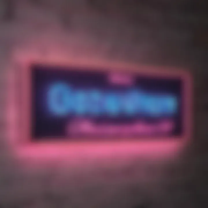 Customizable Neon Name Sign