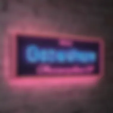 Personalized Neon Name Display Customizable Neon Name Sign