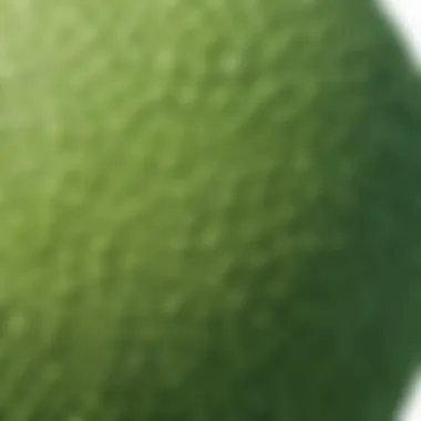 Close-up of the textured surface of a green bouncy ball