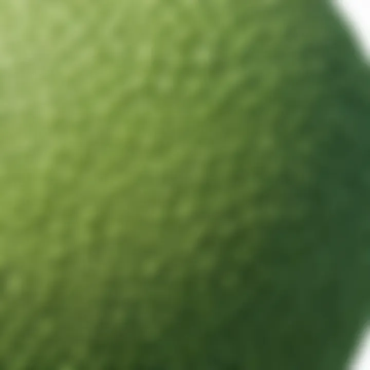 Close-up of the textured surface of a green bouncy ball