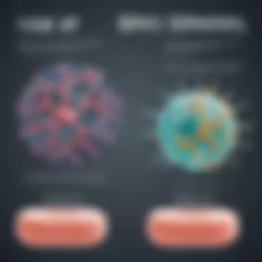 Molecular Action of Soap in Germ Elimination An infographic illustrating the molecular structure of soap and its action against germs
