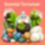 A vibrant assortment of terrarium materials including soil, stones, and plants.