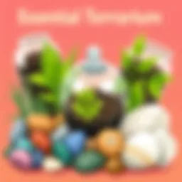 A vibrant assortment of terrarium materials including soil, stones, and plants.