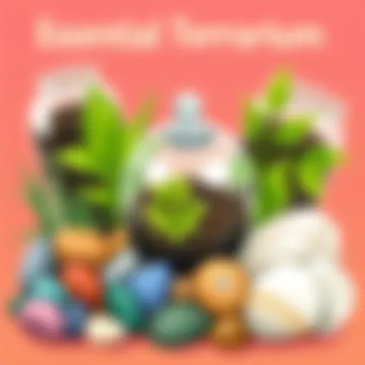 A vibrant assortment of terrarium materials including soil, stones, and plants.