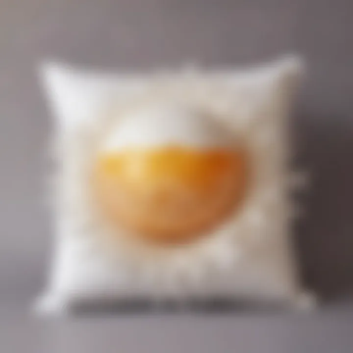 Egg enclosed in protective cushion of balloons and feathers