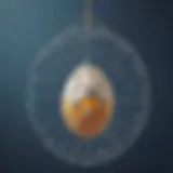 Egg secured in intricate web of strings suspended in mid-air