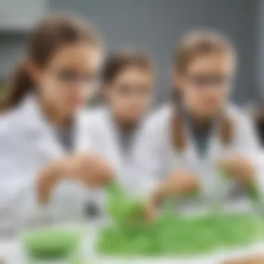 Kids Engaged in Slime Making