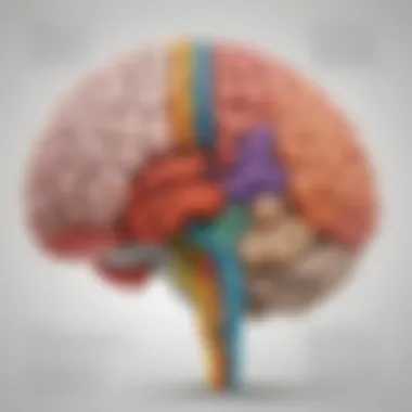 Left Brain Functions Visual depiction of left brain functions