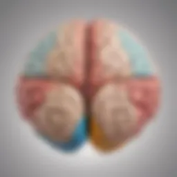 Conceptual illustration of brain hemispheres