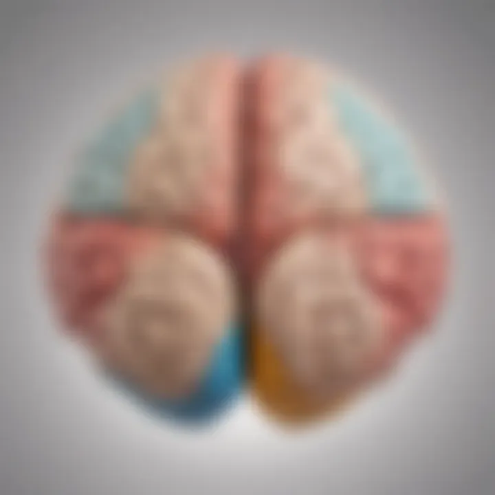 Conceptual illustration of brain hemispheres