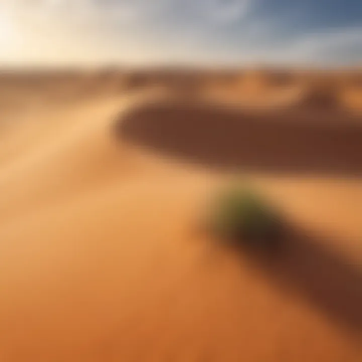 Majestic Desert Dunes