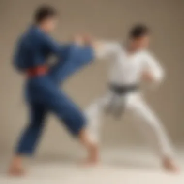 Execution of Powerful Kicks with Focus Dynamic movement of martial artist executing powerful kicks with focus