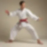 Martial arts practitioner demonstrating precision in kicking stance