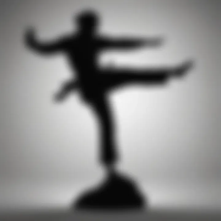 Silhouette of martial artist showcasing balance and agility in kicking technique