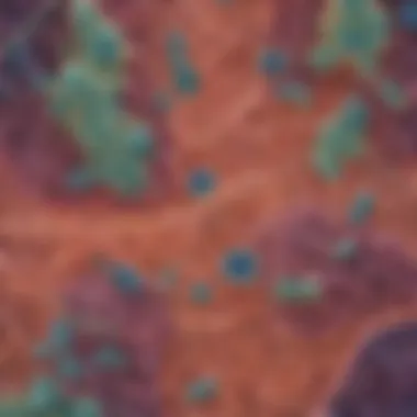 Unveiling the Hidden World of Bacteria Close-up of bacteria under a microscope