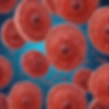 Microscope Close-Up of Blood Cells