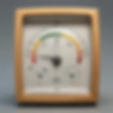 Modern Hygrometer Promoting Healthier Living Spaces