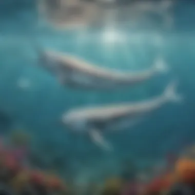 Social Dynamics of Narwhals A group of narwhals socializing in their natural habitat