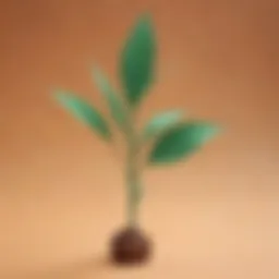 Eco-friendly Paper Stem Experiment