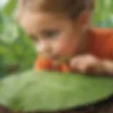 Preschooler observing ants on leaf