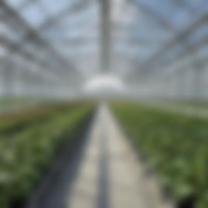 High-tech greenhouse with automated systems and plants