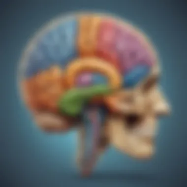 Illustration representing right brain functions