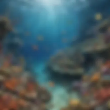 Exploring Oceanic Treasures Seabed Discovery STEM Activity