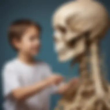 Illustration of a child learning about the skeletal system