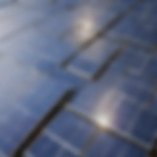 Solar panels harnessing renewable energy