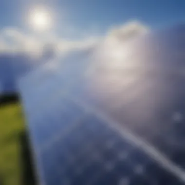 Solar Panels Harnessing Renewable Energy