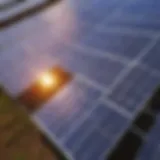 Sunlight Captured in Solar Panels